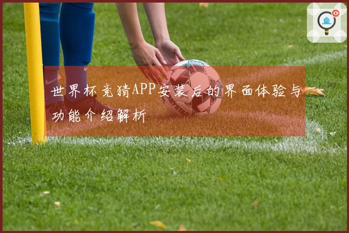 世界杯竞猜APP安装后的界面体验与功能介绍解析