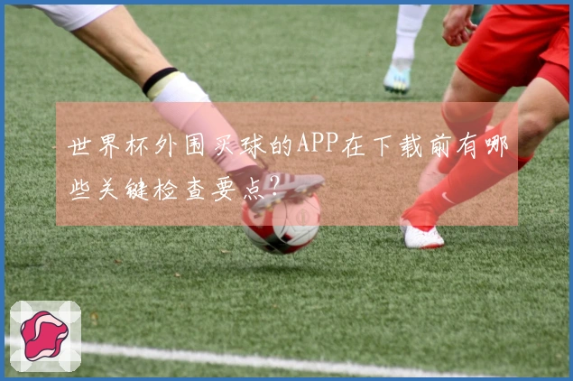 世界杯外围买球的APP在下载前有哪些关键检查要点？