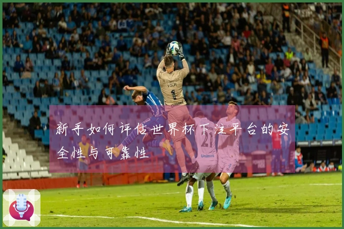 新手如何评估世界杯下注平台的安全性与可靠性