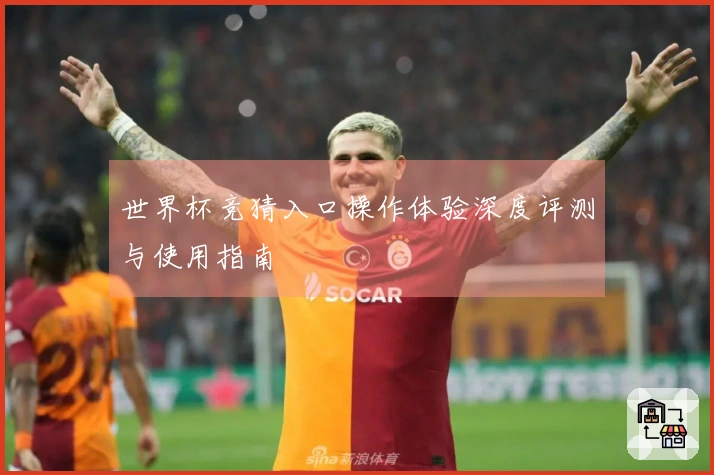 世界杯竞猜入口操作体验深度评测与使用指南