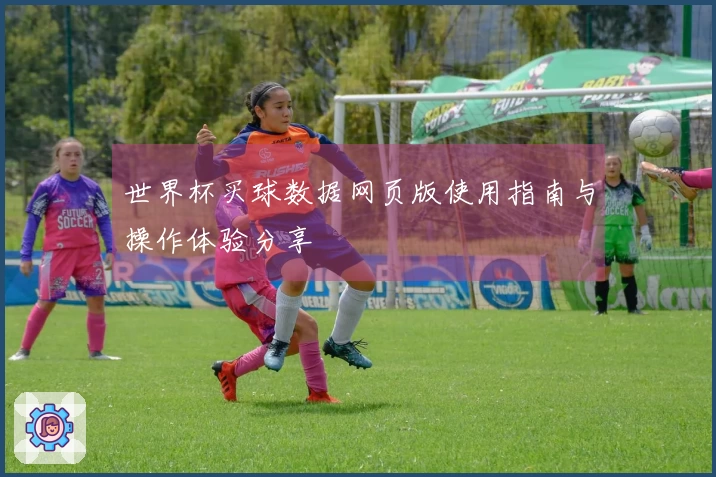 世界杯买球数据网页版使用指南与操作体验分享
