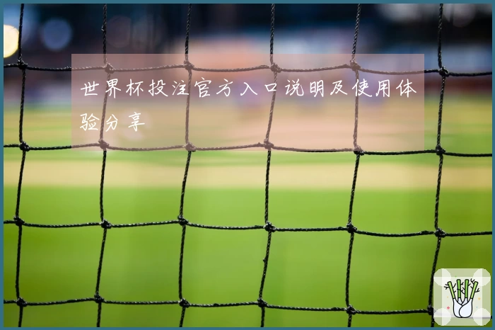 世界杯投注官方入口说明及使用体验分享