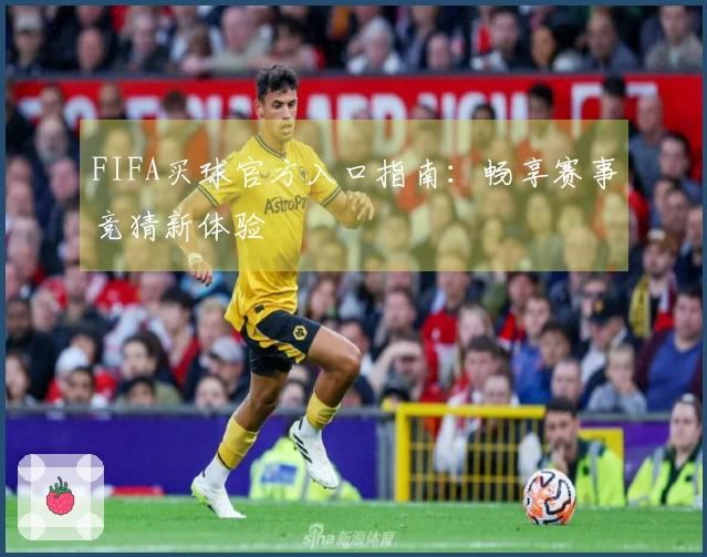 FIFA买球官方入口指南：畅享赛事竞猜新体验