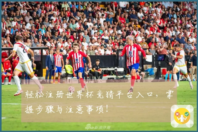 轻松注册世界杯竞猜平台入口，掌握步骤与注意事项！