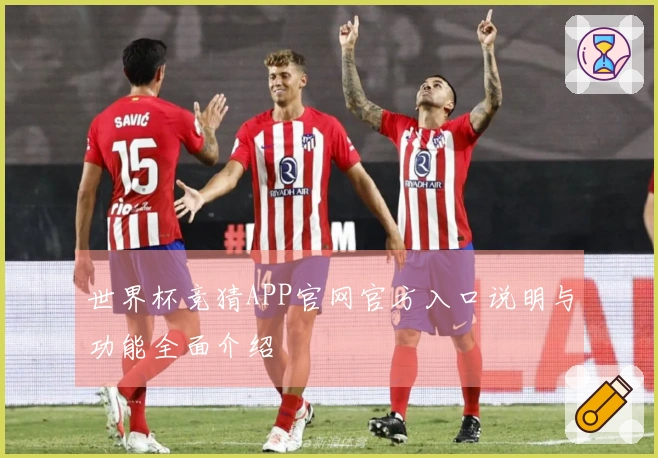 世界杯竞猜APP官网官方入口说明与功能全面介绍