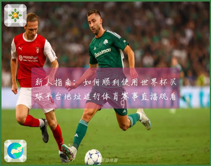 新人指南：如何顺利使用世界杯买球平台地址进行体育赛事直播观看