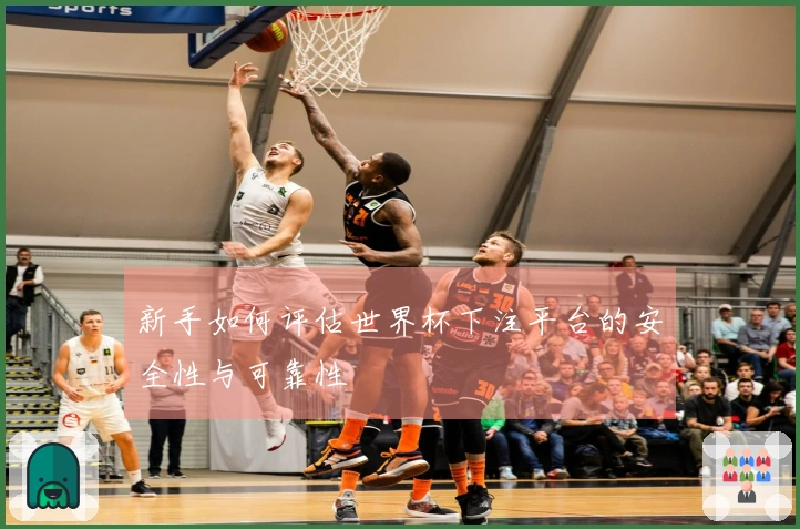 新手如何评估世界杯下注平台的安全性与可靠性