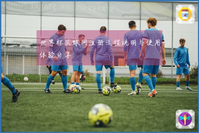 世界杯买球网注册流程说明与使用体验分享